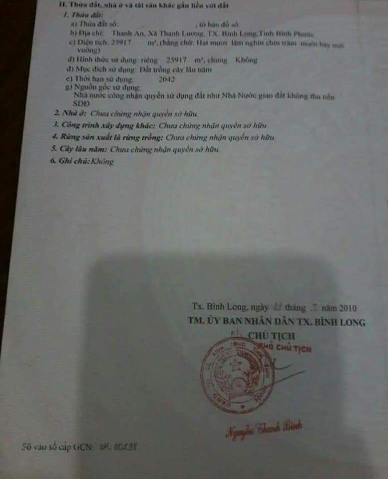 13,5 Mẫu Cao Su Đang Thu Hoạch Năm Thứ 5 Ấp Thanh An- Thanh Lương- Bình Long – Bình Phước   Thích Hợp Làm Trang Trại Cây Ăn Trái- Nuôi Bò-Giáp Bờ Sông  Sổ Chính Quy