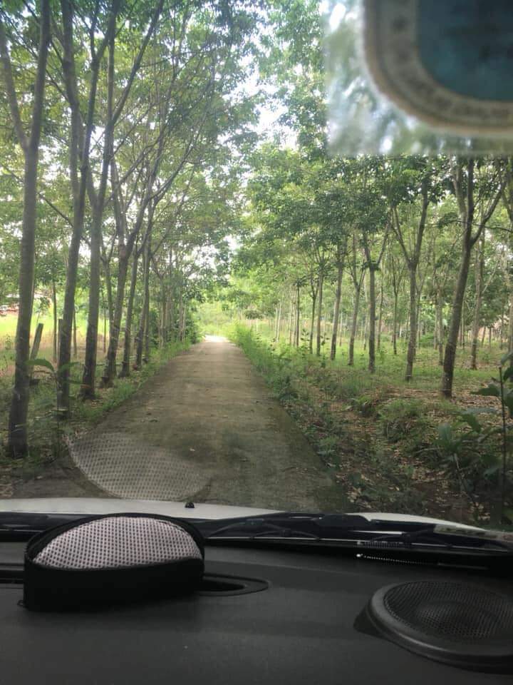 Có 1 hec 3 cao su . Cách cây xăng minh tâm vào 1 km . Trên đất có nhà . Cao su cạo 5 năm . Đất băng phẳng . Đường xá thuận tiện . Xe lớn vào toi đất .