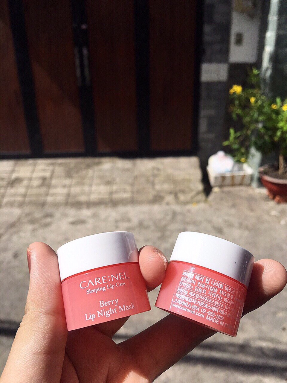 Mặt Nạ Ngủ Môi CARE:NEL Berry Lip Night Mask 5g Chính Hãng Hàn Quốc