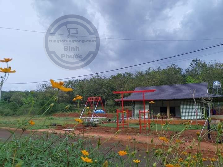 Bán đất nhìn mặt hồ sở nhì Giá 1.3 tỷ
