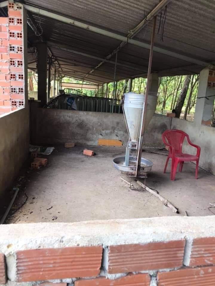 Bán đất…. Minh tâm,  giá 2 tỷ, dien tich 2 héc 3