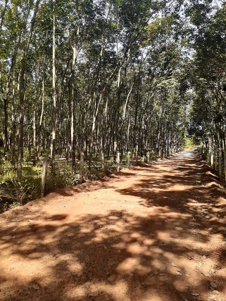 Ban đất Thanh Lương, giá 200tr,
