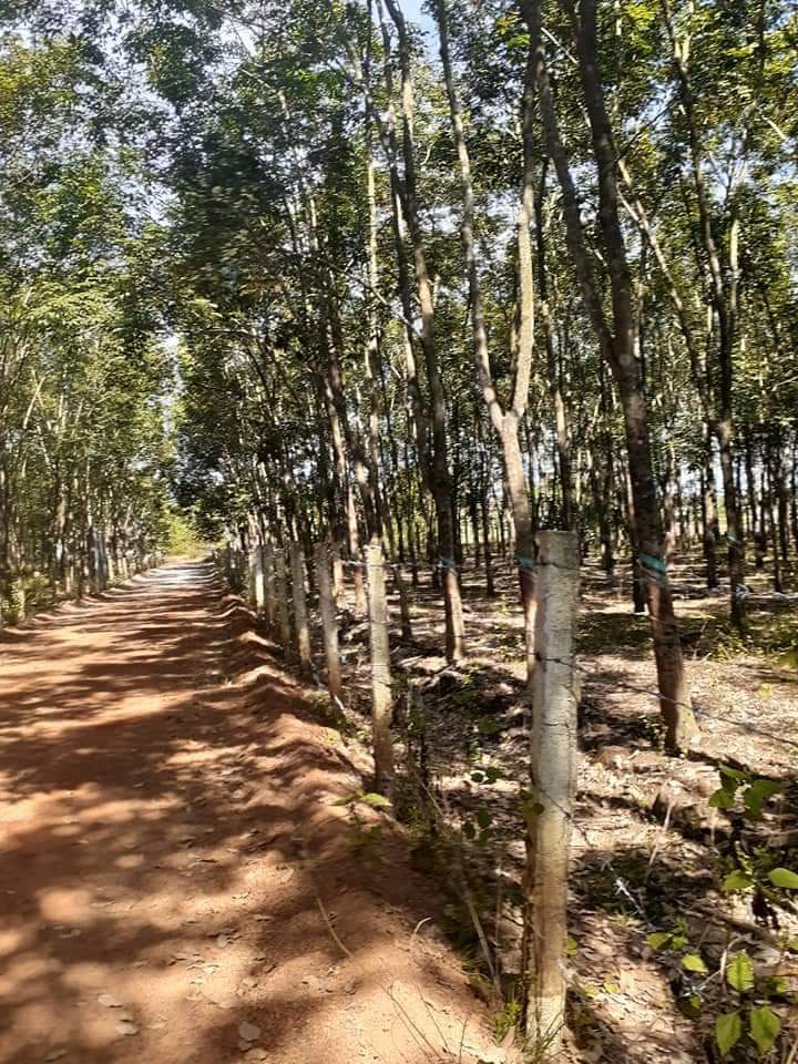 Ban đất Thanh Lương, giá 200tr,