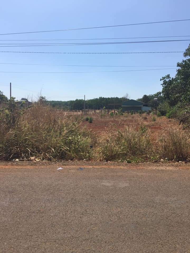 Bán đất Binh Long giá 485tr dt 36×5