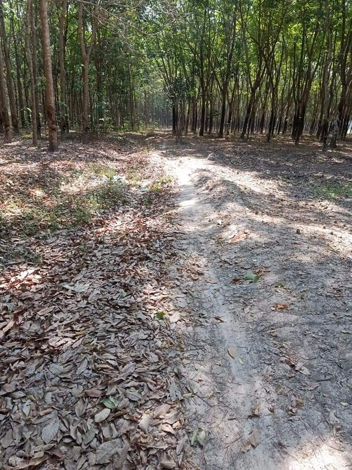 Bán đất Minh Hưng giá 2ty4 dt 123×64