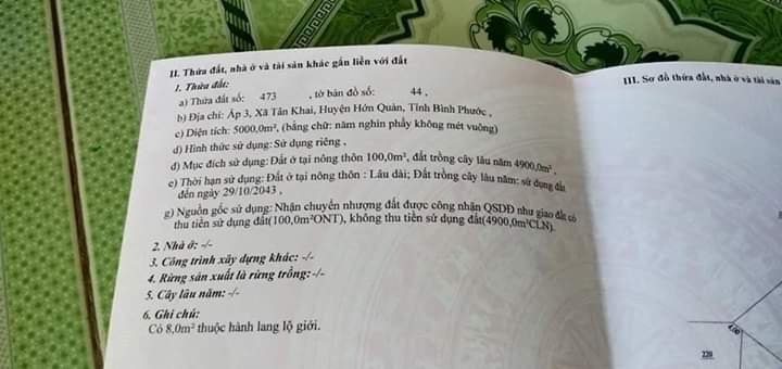 Bán đất Tân Khai giá 3ty8 dt 118×44
