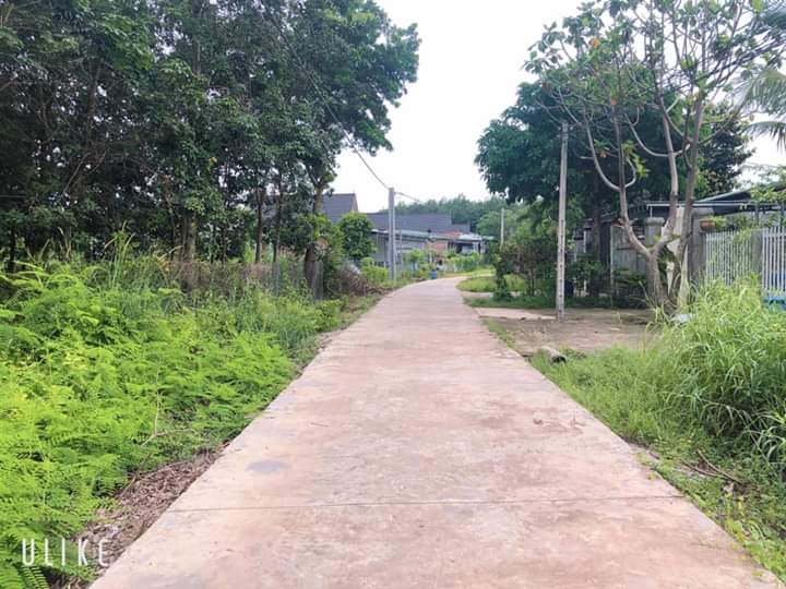 Bán đất Minh Hưng giá 620tr dt 36×5