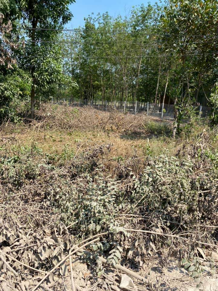 Bán đat Minh Hưng gia 2ty dt 50×12