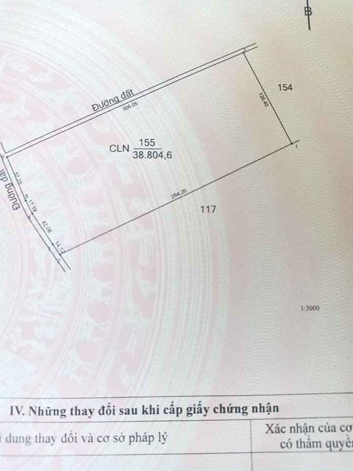 Ban đất cao su 3,8ha