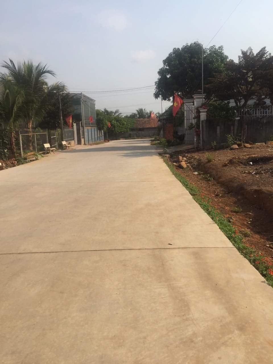 Gần hồ bơi tân bình  diện tích 10×36 giá 2t4