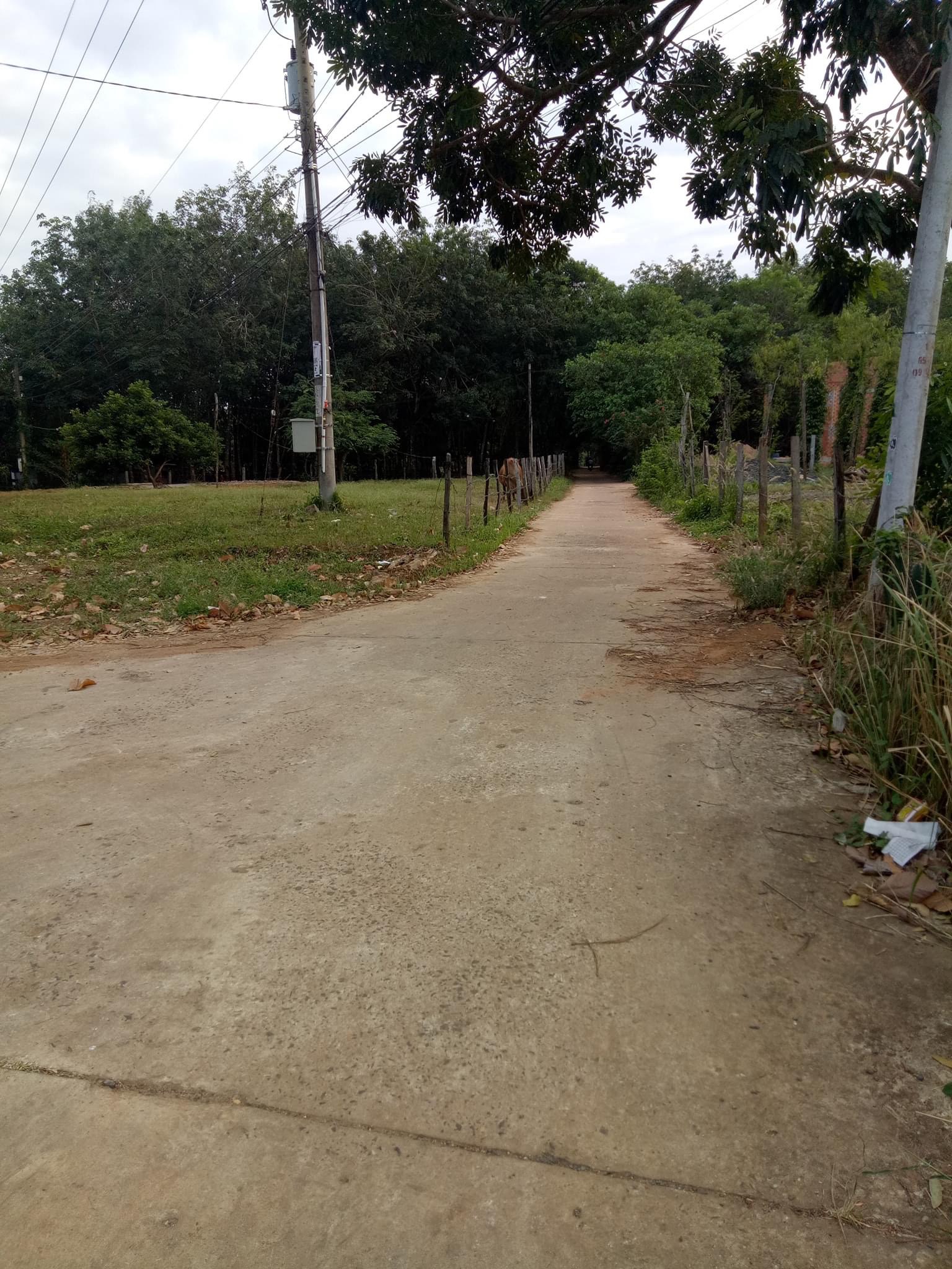 Bán 11×45+100tc. gần trường cấp 3 lộc thái giá 500tr