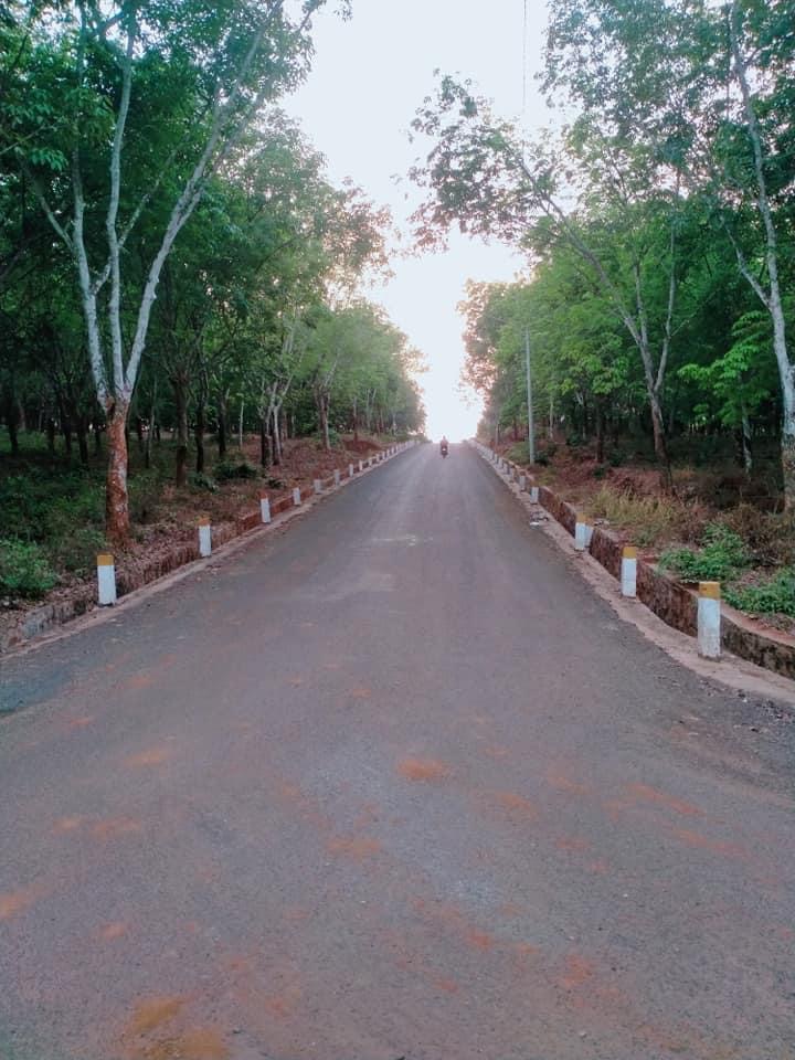 Bán 1 xào 5 đất 17x86x100tc cách ql 13 100m trên đất có trồng sầu riêng