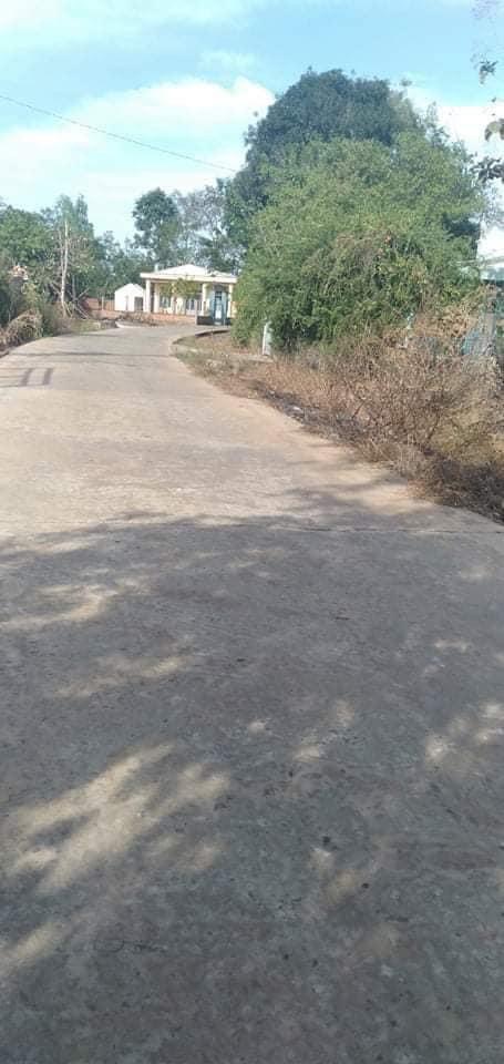 Bán đất ấp 8 Lộc Thái mặt tien bê tông 4m cách nhựa liên xã 80m