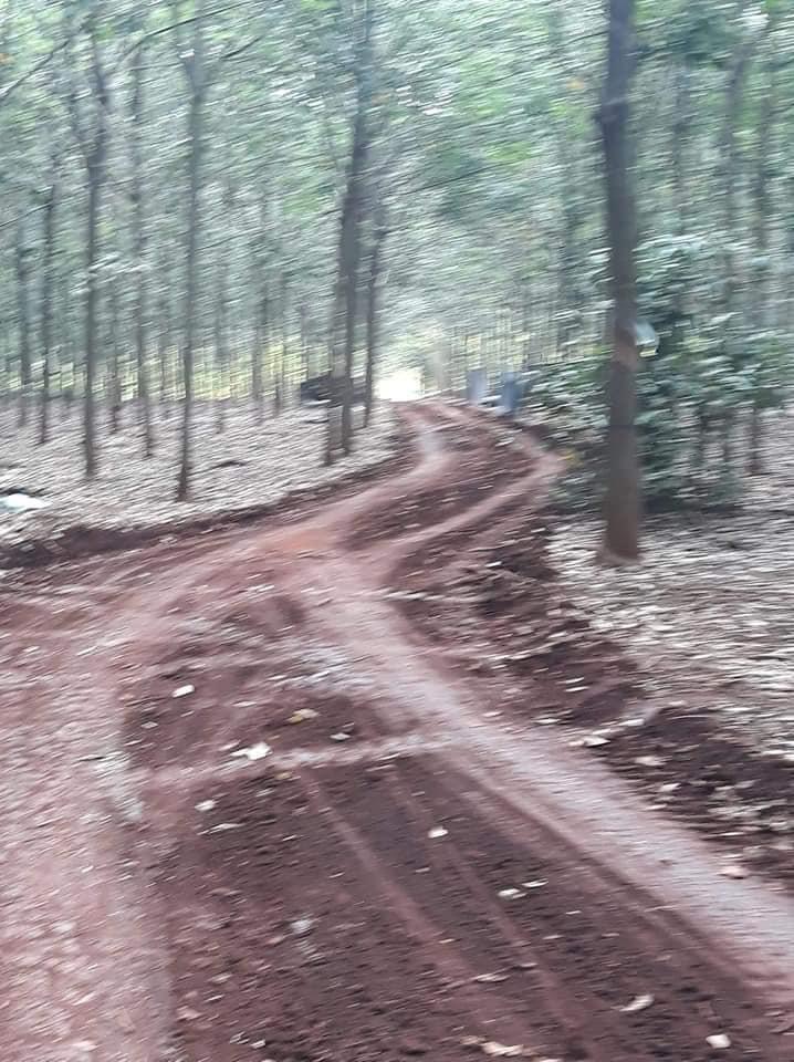 Phước An  8 sào cao su đẹp và rẻ