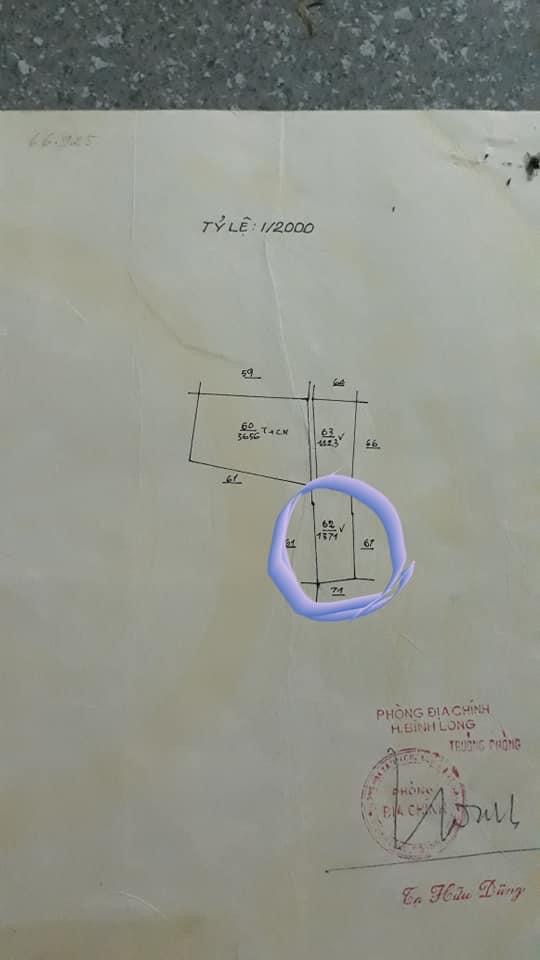 Cần bán lô cao su 8 năm tuổi tại  khu phố 1 TT Tân Khai cách ql13 400m đường đất 4m dt 27×50