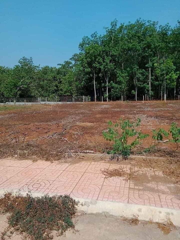 Bán đất Bình Long giá 440tr dt 5*29