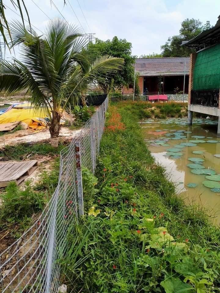 Bán khu nghỉ dưỡng thuộc TT Tân Khai cách ql13 2km giá 2ti7
