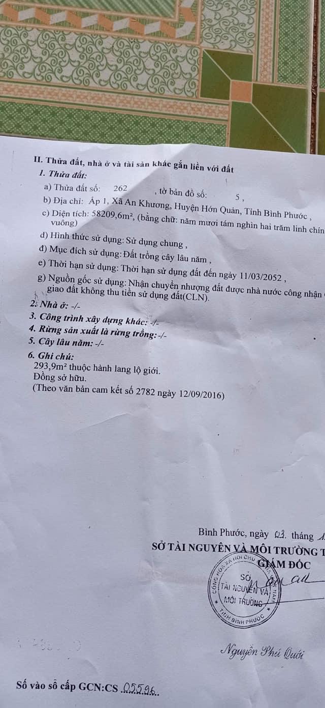 Bán 5,8ha cao su thuộc An Khương giá 5,3tỉ