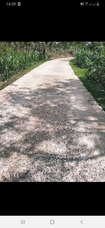 Bán đất Thanh lương giá 280tr dt 20*50