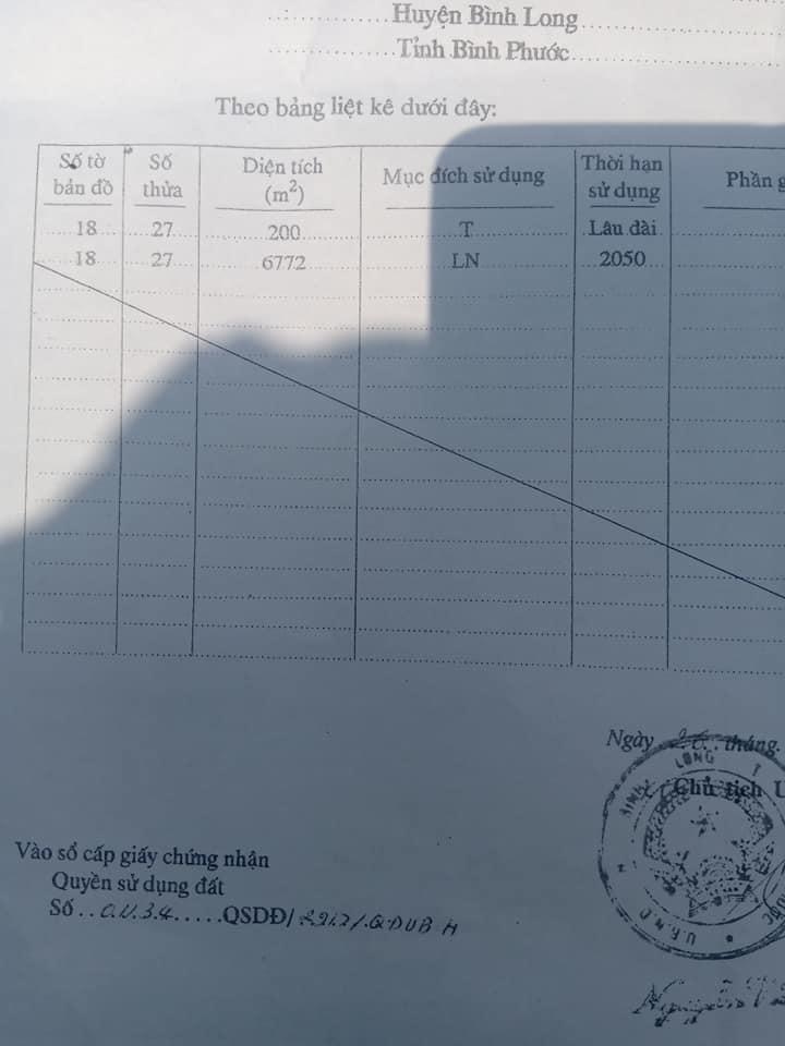 Bán 7 xào điều và cao su giá 1ti 50tr ấp 1b minh đức