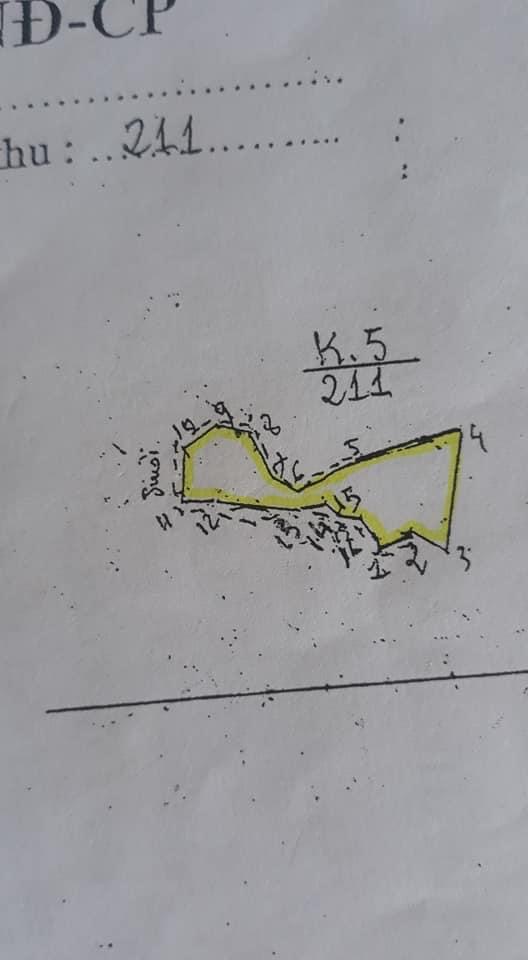Bán 1,6ha cao su đang cạo sổ xanh lộc thành giá 650tr