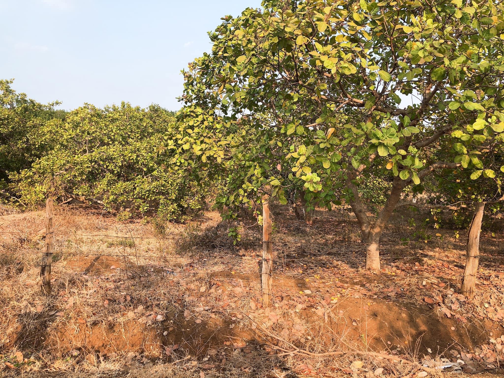 Bán 1,7ha có 134m mt nhựa hllg 32m thông 304 đất ở An Khương hhes