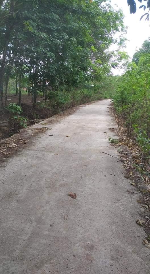 Bán 300m2 điều, cao su,.. có 100tc đất tại Thanh Lương