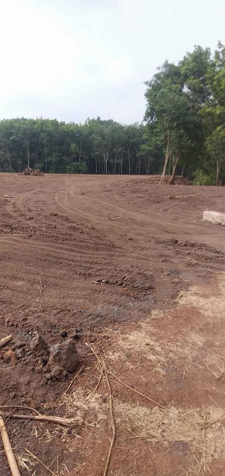 1,3ha đất Z68 vào khoảng 1,5km chuẩn bị lên nhựa gần suối thích hợp với vc làm khu nghỉ dưỡng