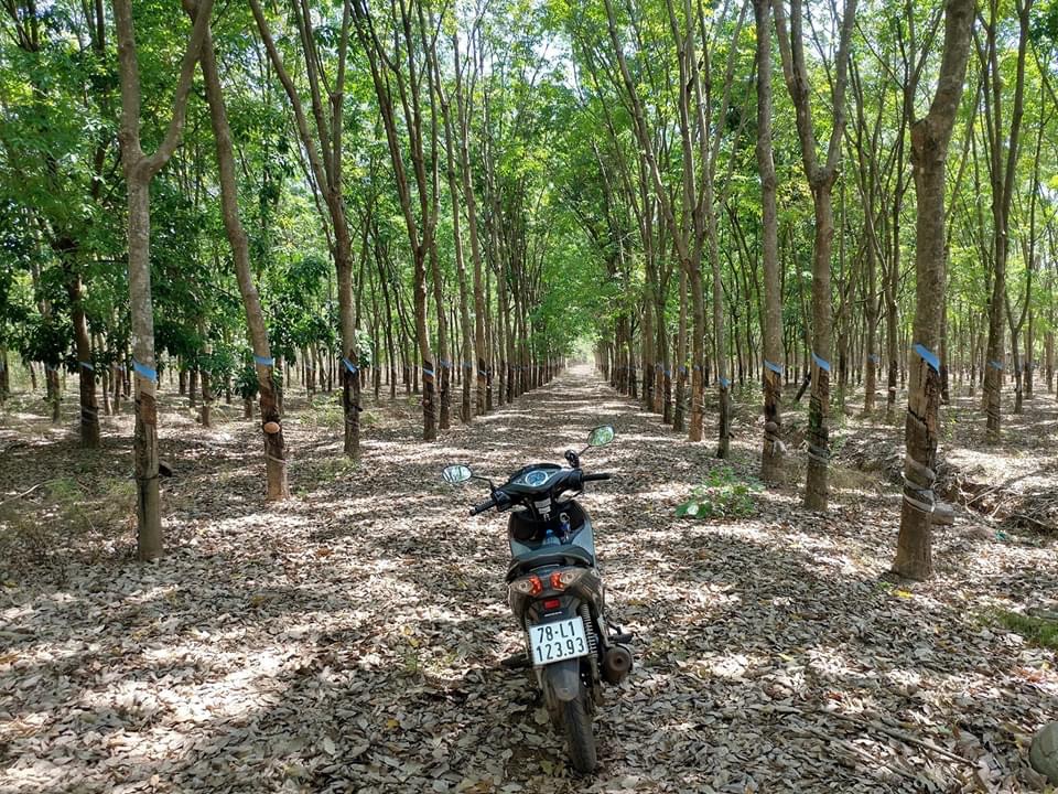 Bán 3ha cao su cách nhựa 754C 400m cách điện 3pha 400m đất 2mt