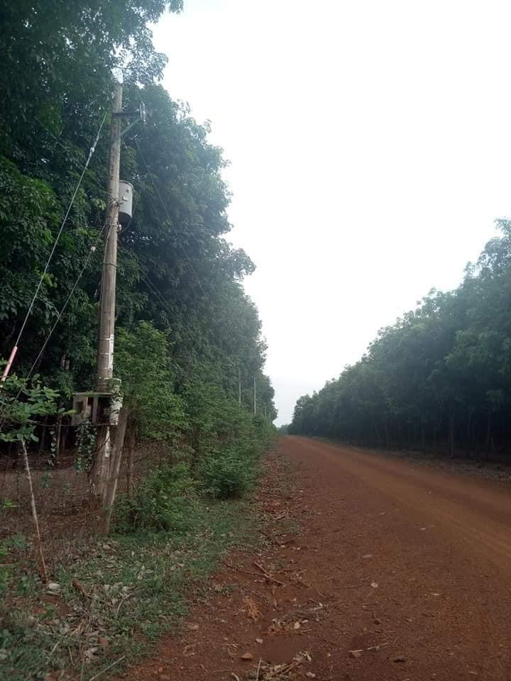 Bán 15ha đất vườn có đầy đủ tiện nghi đất 2mt cách ql13 3,5km giá 30tỉ