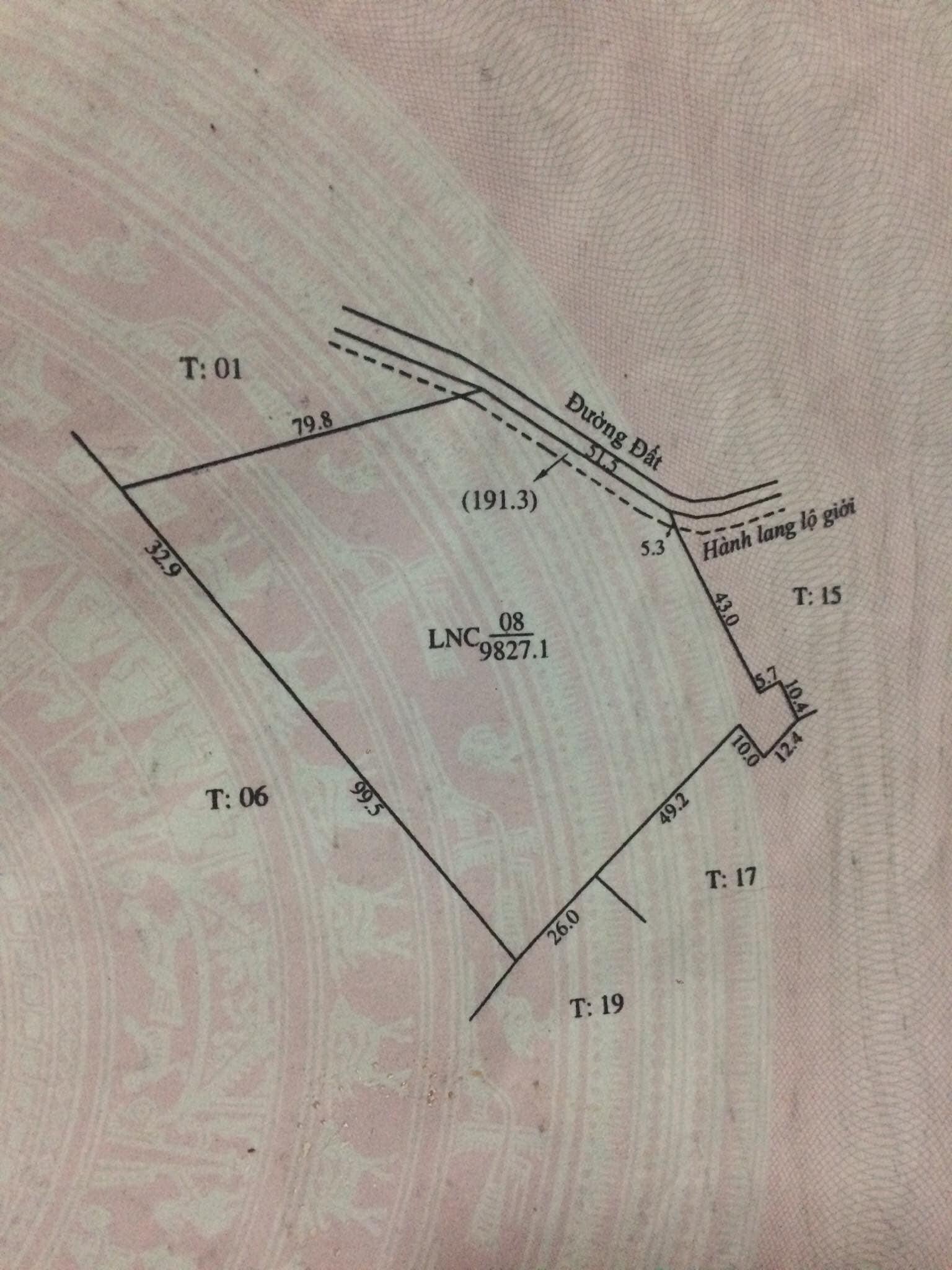 Ấp 4 Lộc An 1ha vừa tiêu vừa sầu riêng và mít thái có hệ thống tưới nước tự động tặng căn nhà c4