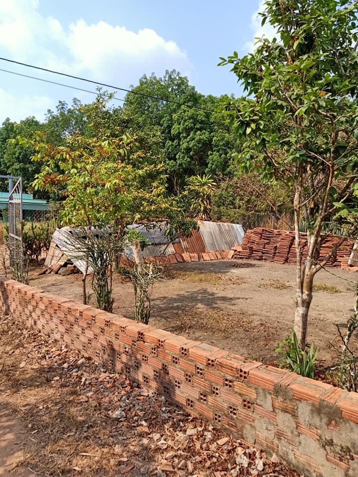 Bán vườn cây ăn trái mt 4mau1 tặng kèm căn nhà và nội thất