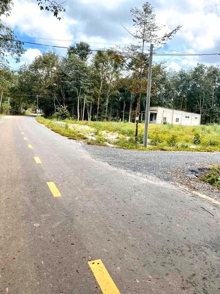 Bán đất khu phố Trung lợi Minh Hưng ( đường nhựa Lê Duẩn cách Cao Bá Quát và nhựa NVL chỉ 200m) gias 1ty030 dt 5×40