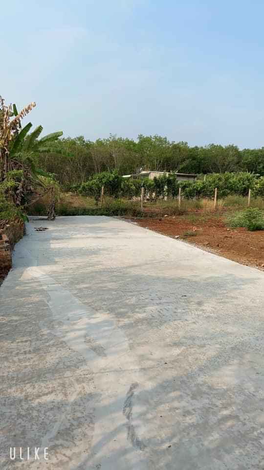 Bán đất thuộc khu phố Bình Ninh dt 5x40x50tc
