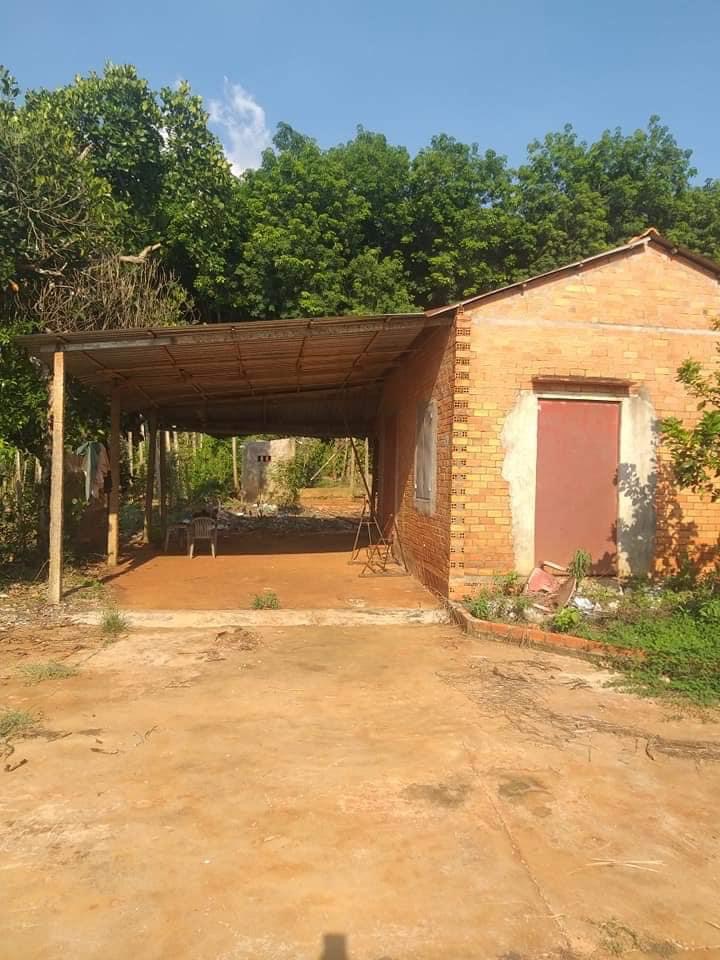 Bán 1,4ha tiêu sầu riêng mít giá 1ty500tr xã thanh phú