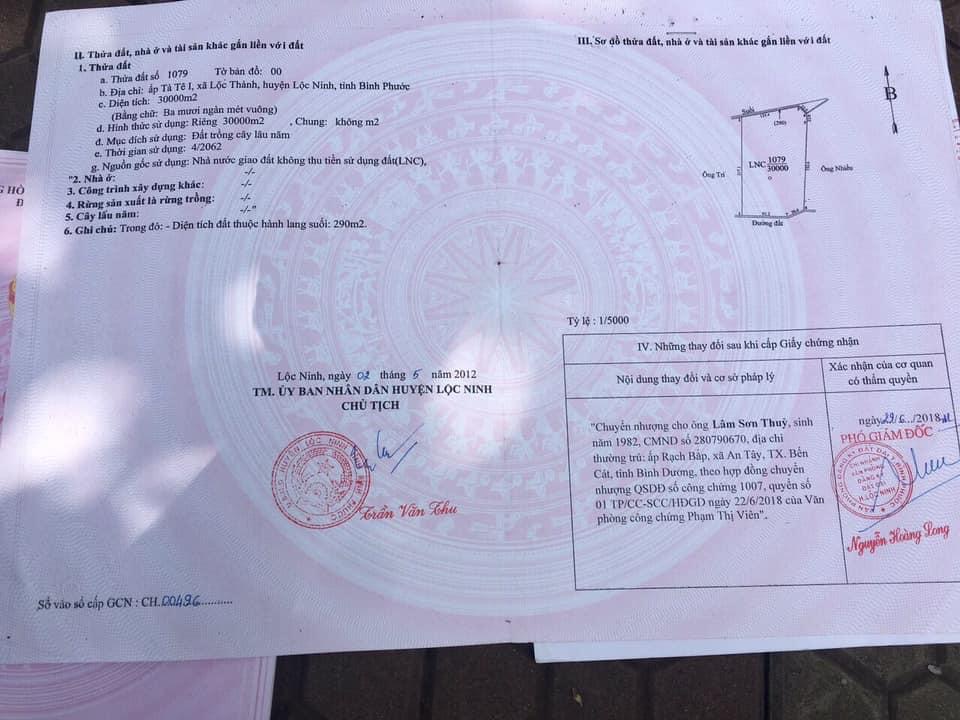 Bán 3ha cao su lộc thành giá 720tr/ha