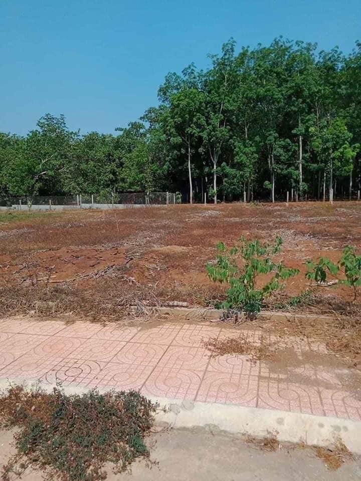 Bán lô đất cách Phân Bội Châu 100m