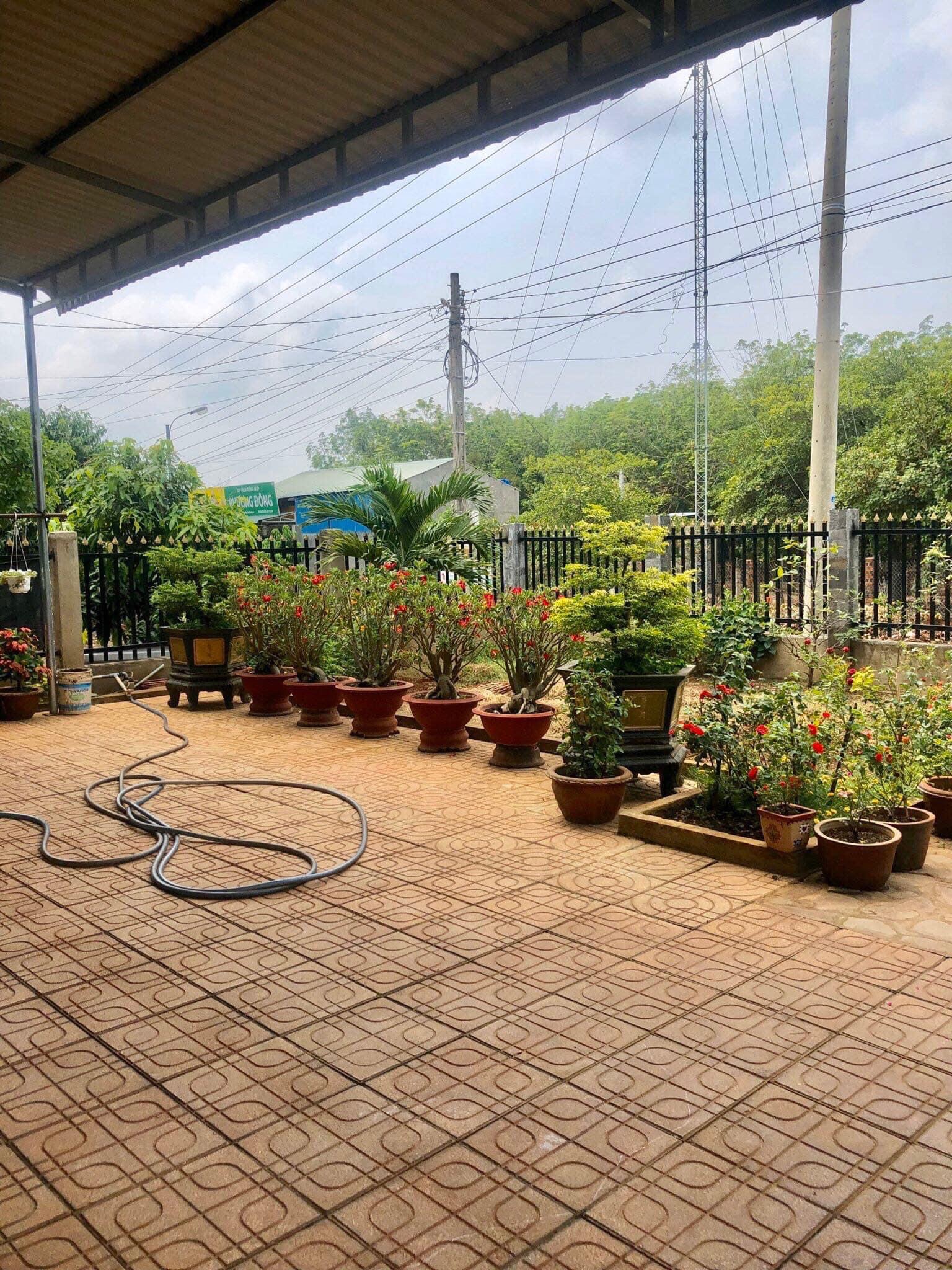 Bán căn nhà và 1,4ha cao su dt 12x50x100tc thuộc Đồng Tâm giá 5ti