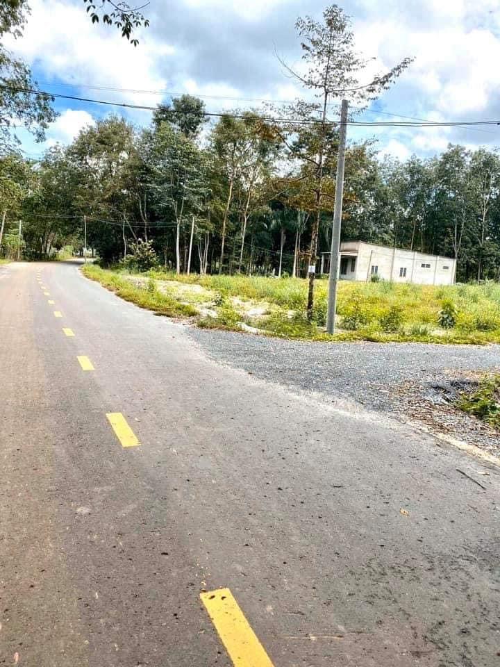 Mặt tiền đường nhựa Lê Duẩn cách Cao Bá Quát và nhựa NVL chỉ 200m .  👉5x40m thổ cư 50m (gần 200m2)