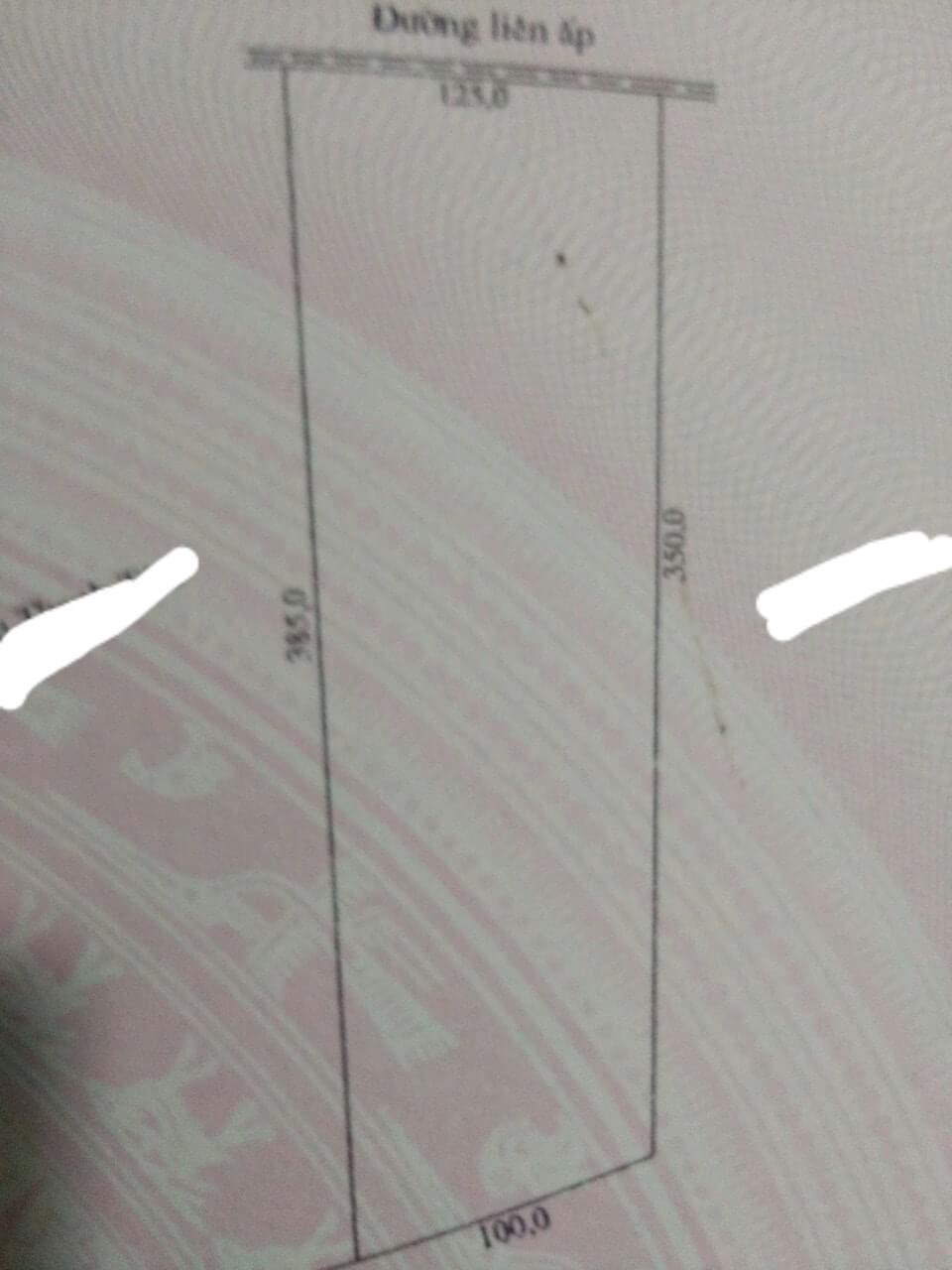 Bán 4,2ha cao su đường 8m lộc khánh giá 3,7 tỉ