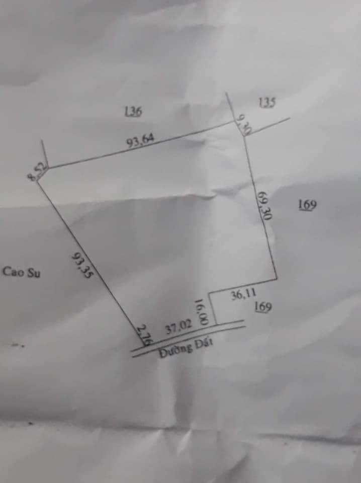 Phước An  8 sào cao su đẹp và rẻ
