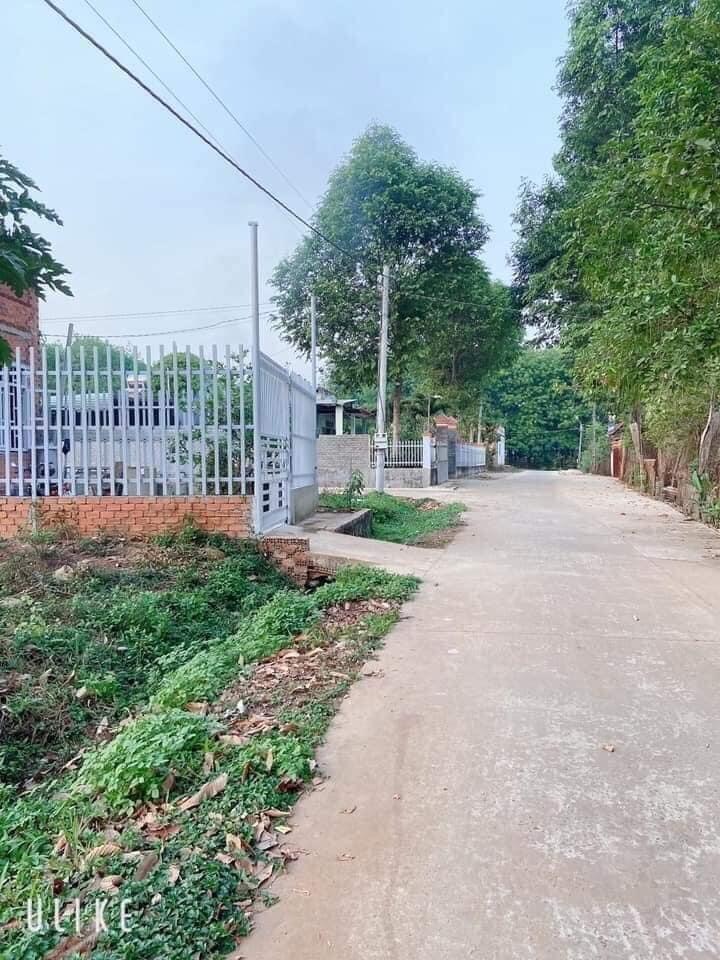 Bán đất Bình Long đối diện vườn đâu Lê Văn Tám giá 590tr dt 6×26