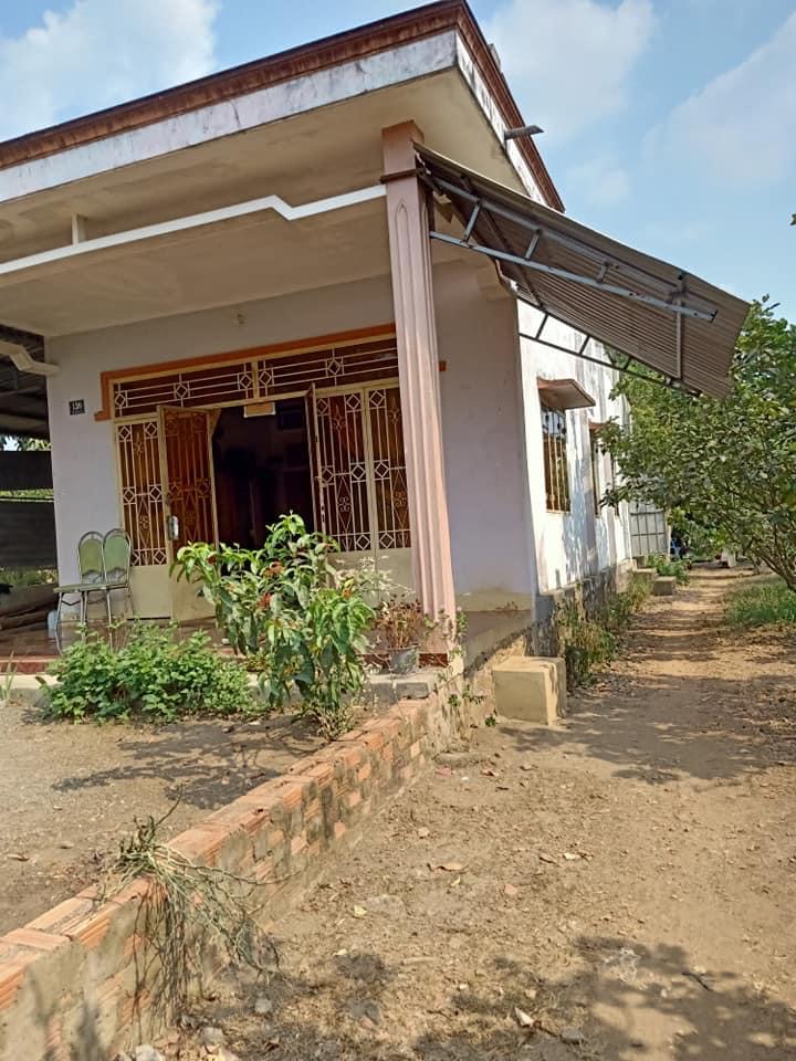 Bán vườn cây ăn trái mt 4mau1 tặng kèm căn nhà và nội thất