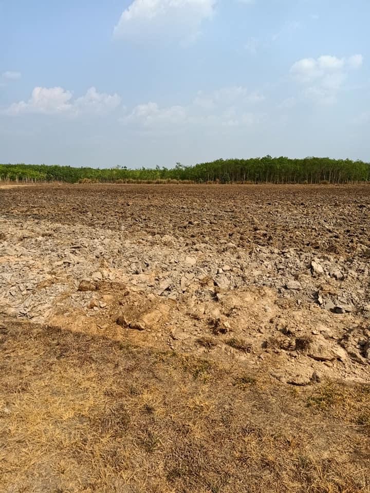 Bán 3mau6 đất thích hợp trồng điều,  cao su, sắn, cây ăn trái ,….