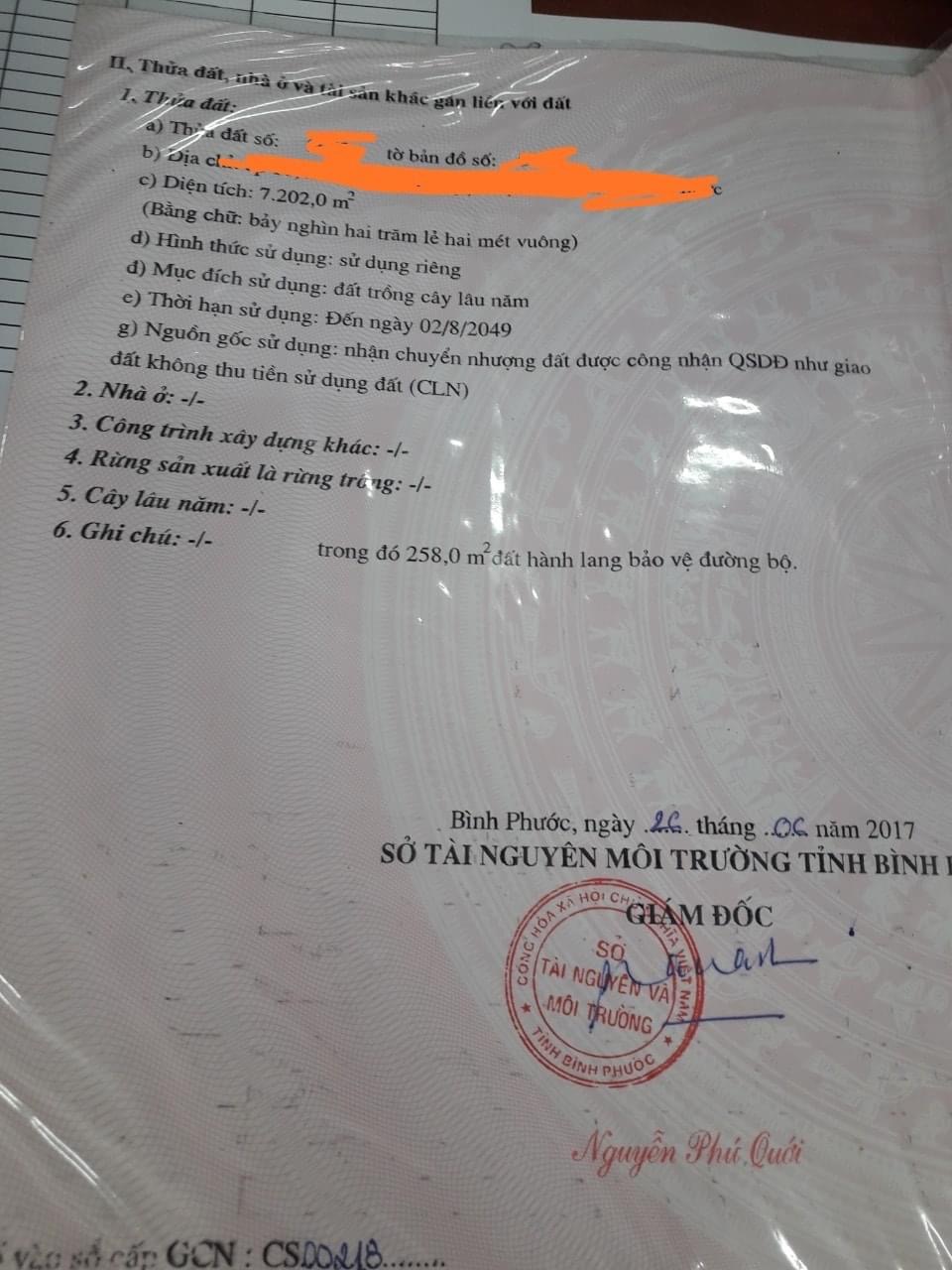 Bán 9,6sào cao su non thuộc ấp 10 Lộc Thiện