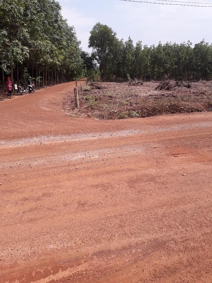 Bán lô đất 2mt cách ngã ba Đồng Tâm 2km đt 43x61x100tc đường đang lên nhựa