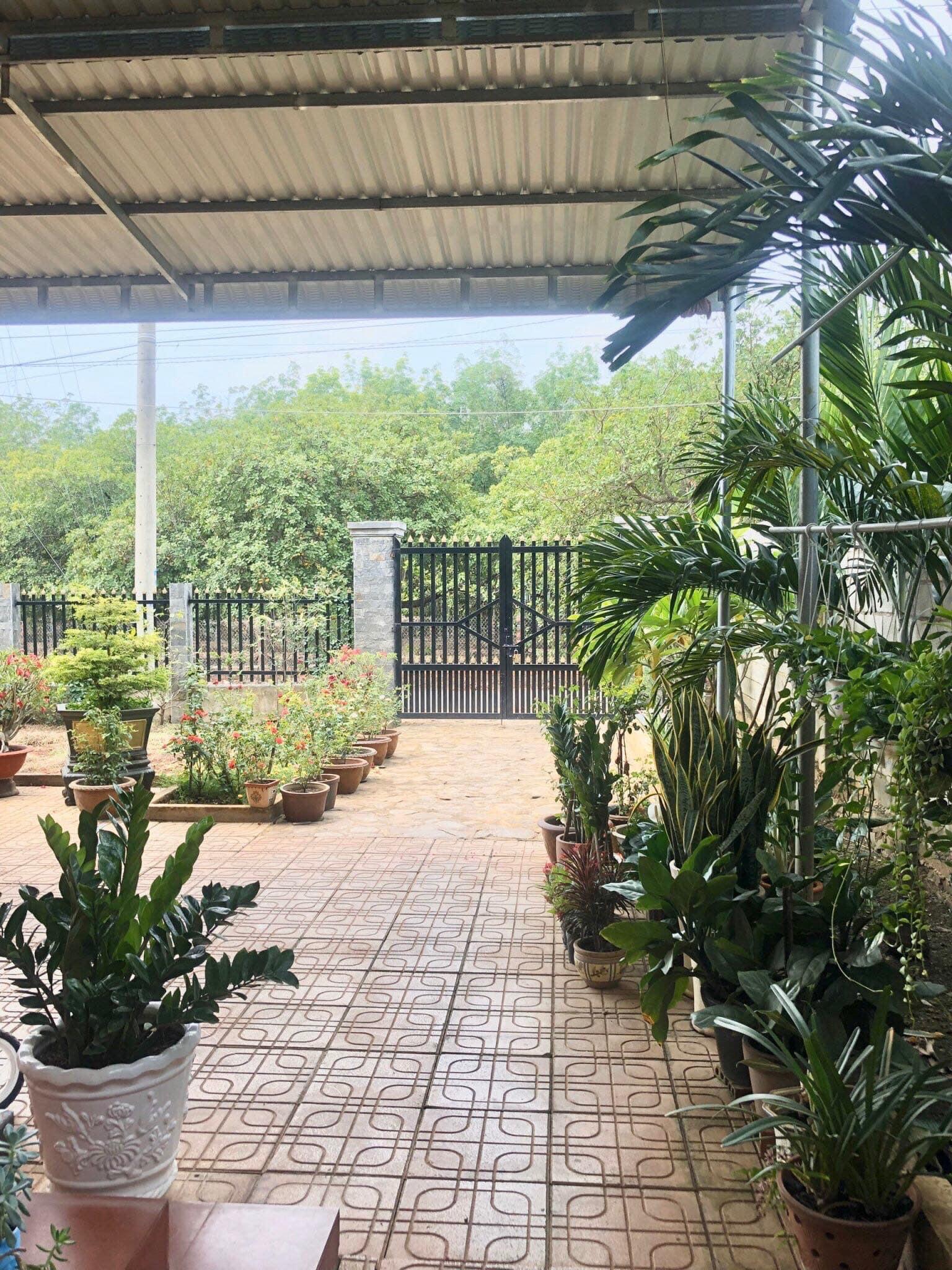 Bán căn nhà và 1,4ha cao su dt 12x50x100tc thuộc Đồng Tâm giá 5ti