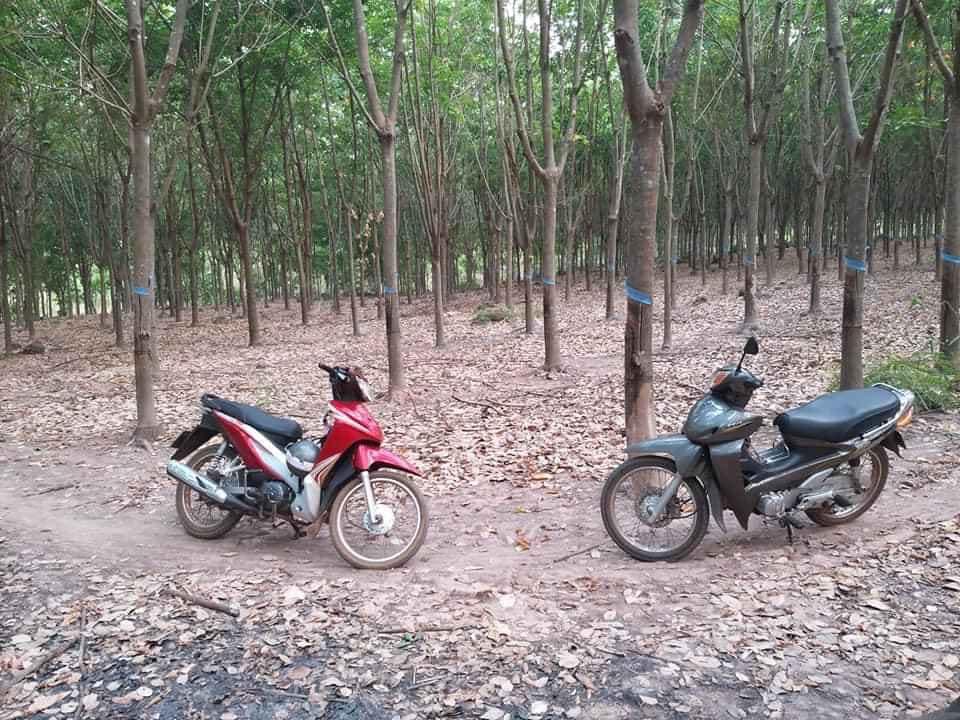 Bán gấp 8,6 xào cao su đất mt luôn nha