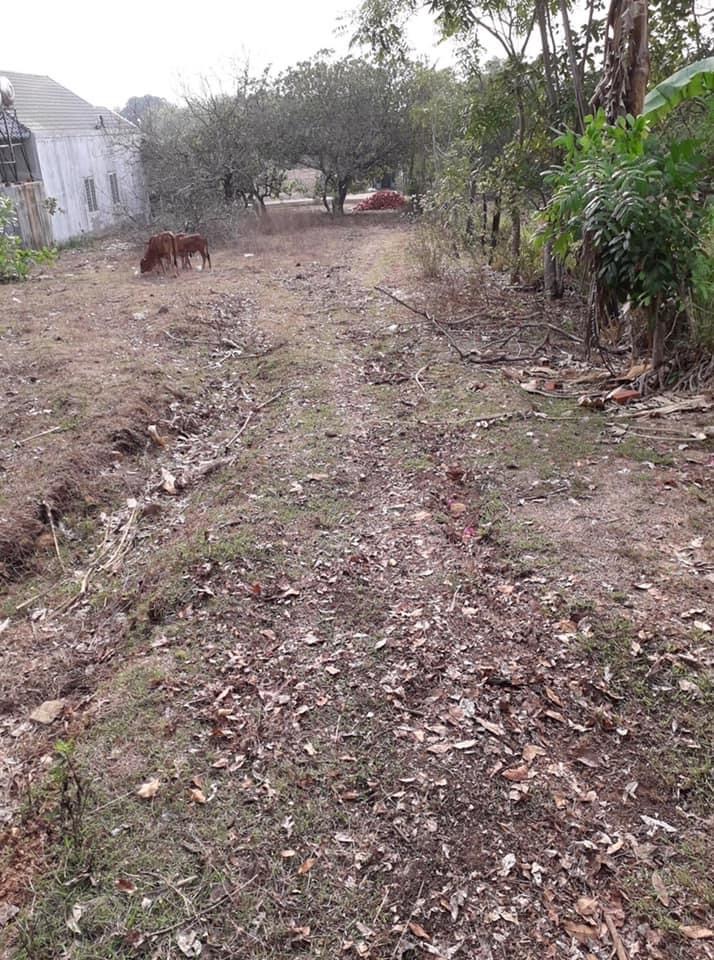 Bán đất Bình Long giá 295tr dt 5×28 cách ql13 200m