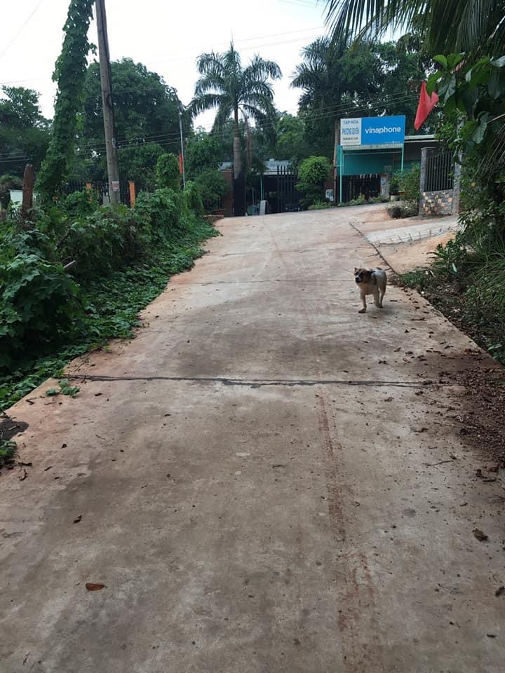 Bán đất mt cách ql13 1km thuận tiện cho việc mua bán, làm nhà định cư dt 23x28x100tc